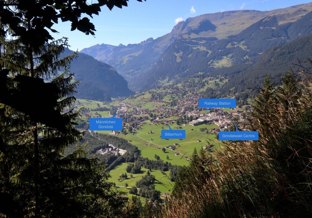 Silberhorn Appartement Grindelwald Buitenkant foto